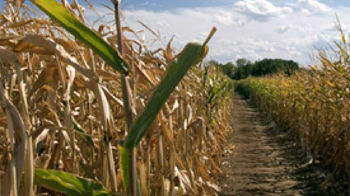 Bill Proposed to Protect Halloween Venues