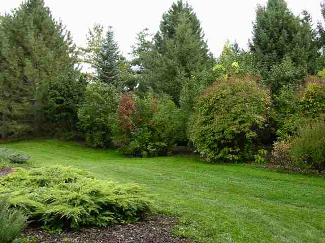 Landscaping With Woody Plants & Shrubs
