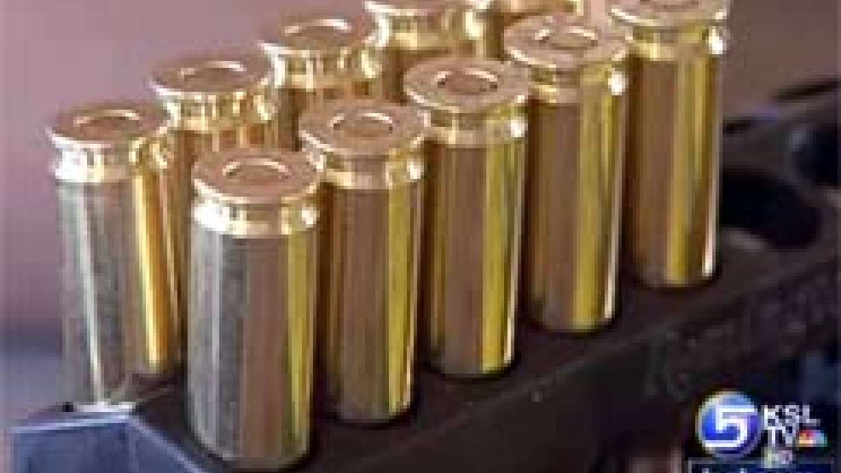 Movement Under Way for Voluntary Ban of Lead Ammo