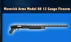 Judge Considers Dropping Charge Against Gun Dealer