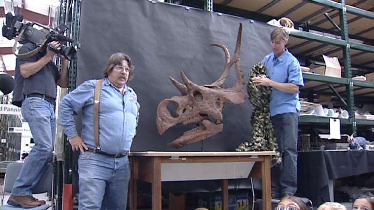 Newly Discovered Dinosaur Skull Unveiled