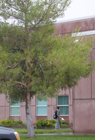The teens were standing next a tree when they were struck by lightning Tuesday afternoon. (Photo credit: Samantha Clemens/The Spectrum)