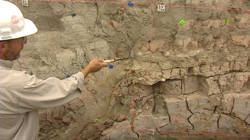Geologists had their first look underground. The horizontal layers of sediment show clear signs of being broken by fault movements -- clear evidence of four big earthquakes in the last 15,000 years.