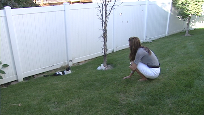 Ask any one of Major's neighbors and they'll tell you her cat, Baca, lives a cushy life, able to run outside.