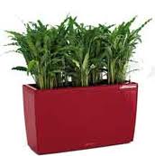 Lechuza Rondo Self-Watering Planter Charcoal