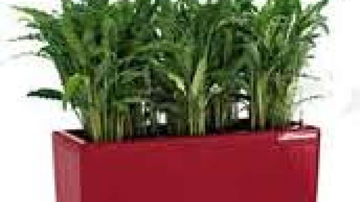 New "Rondo" Self-Watering Planter