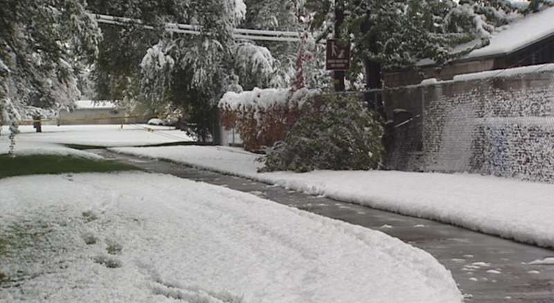 Tree-trimming program minimizes power outages