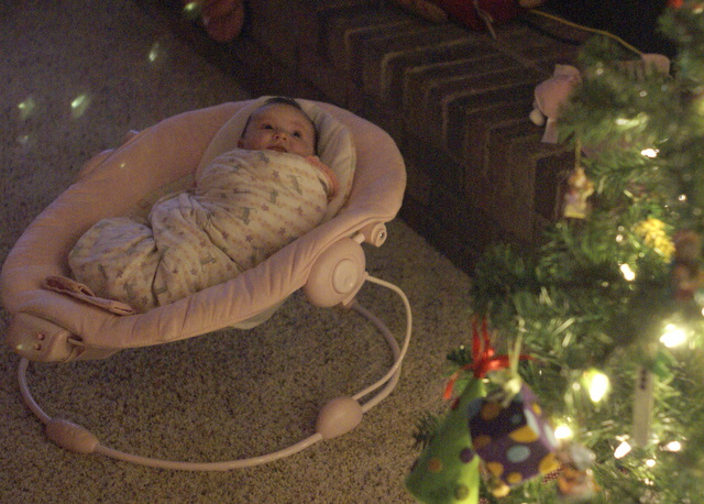 PHOTO GALLERY: Christmas in Utah 2010