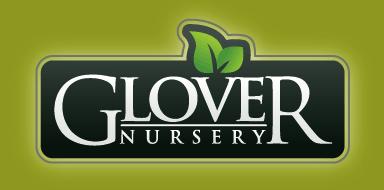 Glover Nursery -- Utah's First Family Nursery
