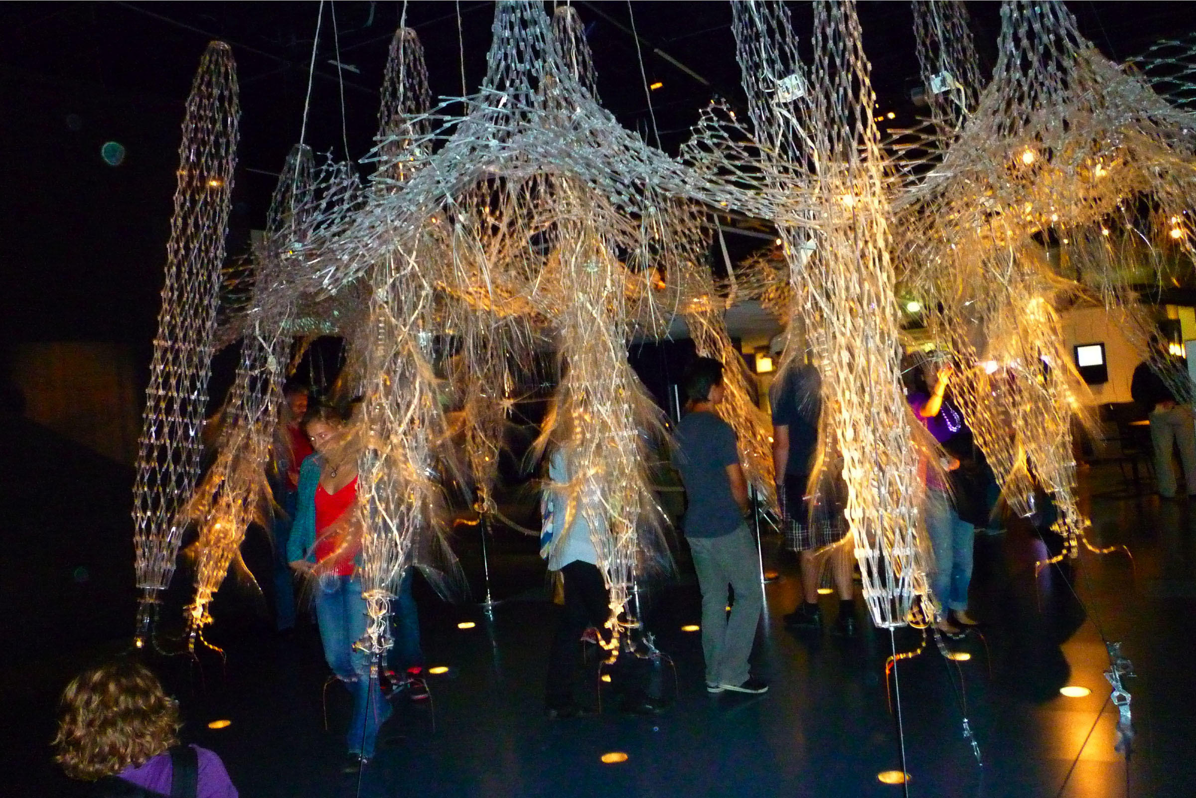 Leonardo saves enough money for new exhibit