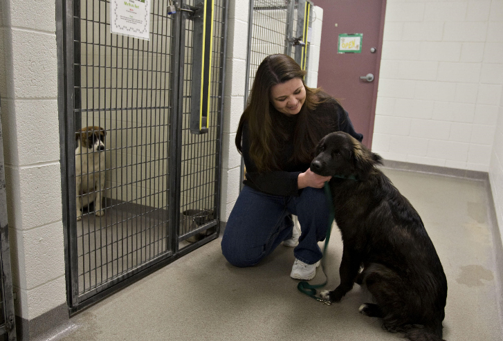 Shawni Larrabee, director of Salt Lake County Animal Services, visits August, one of the animals currently in foster care by an employee, at the Salt Lake County Animal Services building in South Salt Lake on Friday, Jan. 14, 2011.
Mike Terry, Deseret News