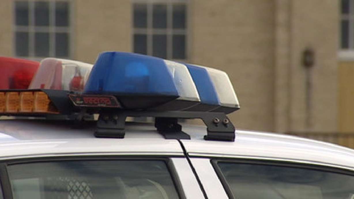Traffic stop leads to discovery of high-quality fake IDs, checks, police say