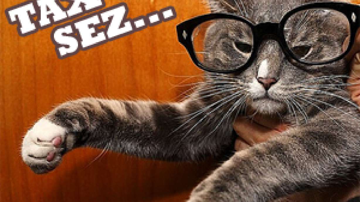 8 Tips For Picking The Right Tax Preparer