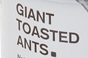 Giant Toasted Ants