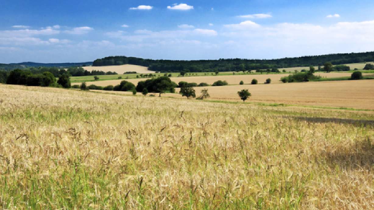 Utah farmers will survive dry weather — for now