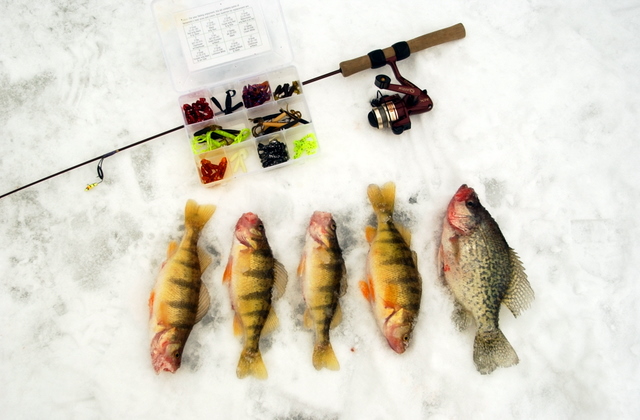 Sonar solution for successful ice fishing