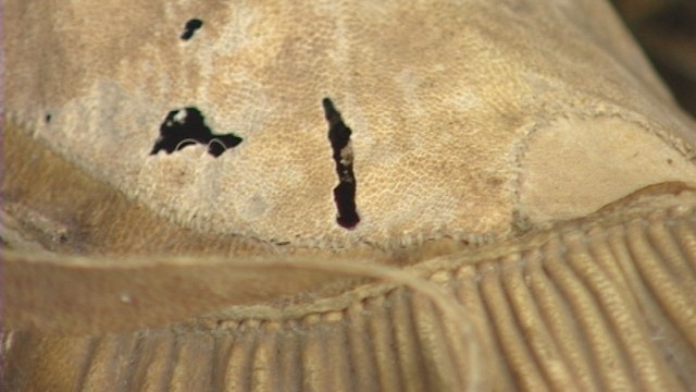 Insects ate holes through the top and toes of these Native American boots.