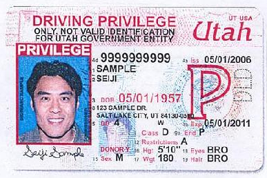 Driving Privilege Card