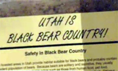 U.S. Forest Service presents case in bear mauling trial