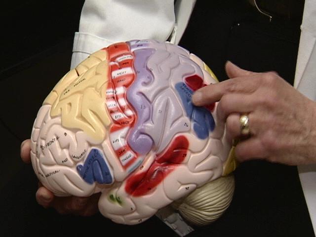 Many things can trigger migraines:  hormonal changes in women, certain foods like chocolate, alcohol and salty foods; lights; stress; and even missing sleep or getting too much sleep.