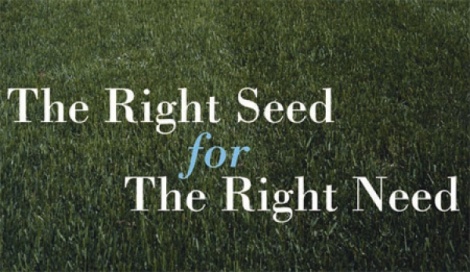 Choosing The Right Seed 