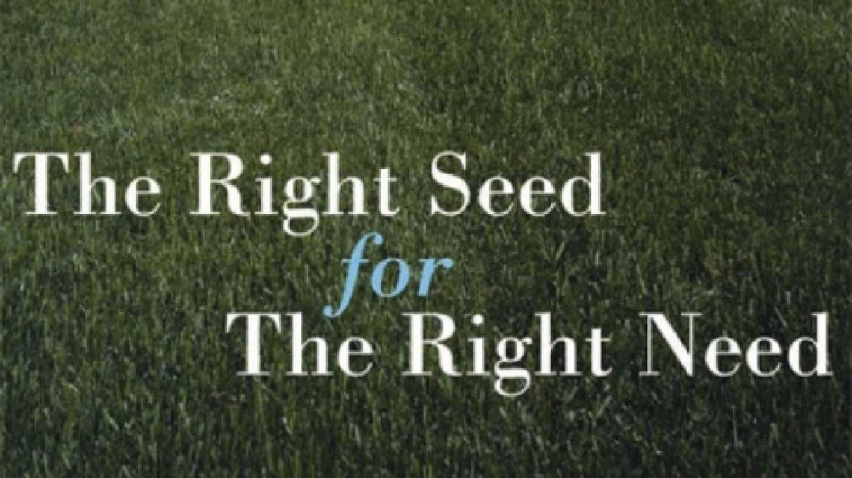 Choosing The Right Seed