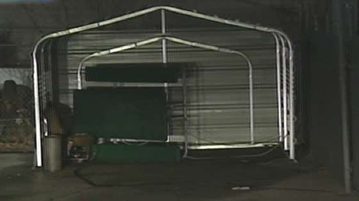 Man charged in fatal stabbing, attempted rape