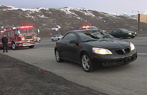 Moose on I-80 leads to multiple-car wreck