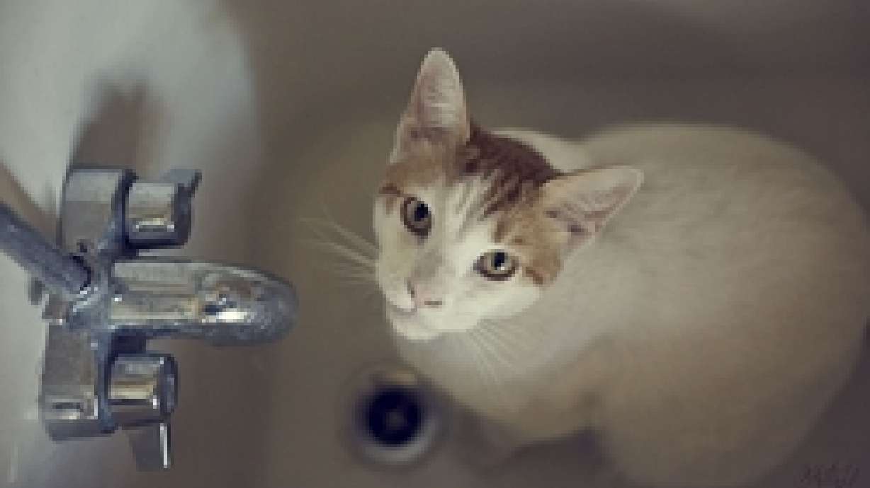 10 Really Easy Ways to Unclog Drains