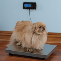 Pet Scale lets you know whether Fido needs a diet