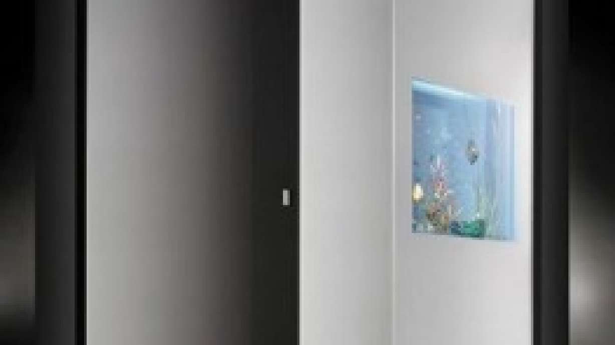 Shower has a built-in fish tank