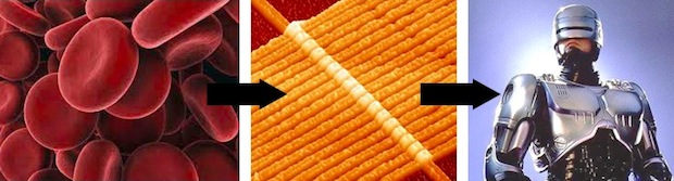 Electronics Made From Human Blood Cells Suggest Cyborg Interfaces, Spark Nightmares