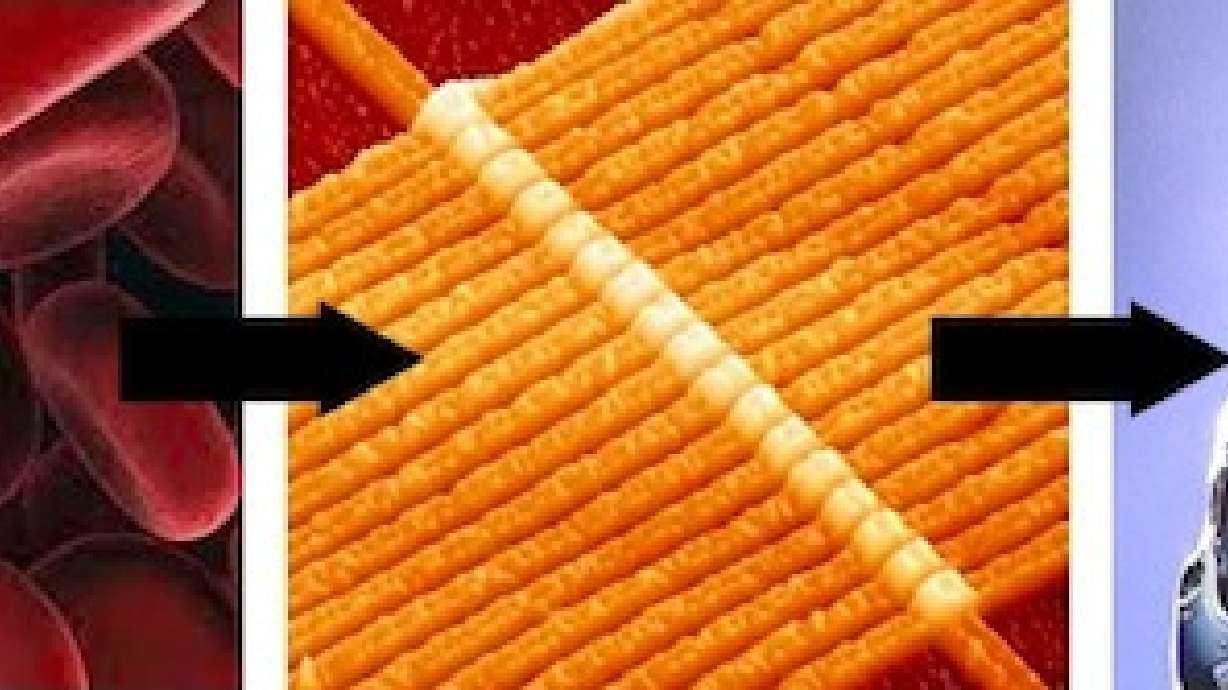 Electronics Made From Human Blood Cells Suggest Cyborg Interfaces, Spark Nightmares
