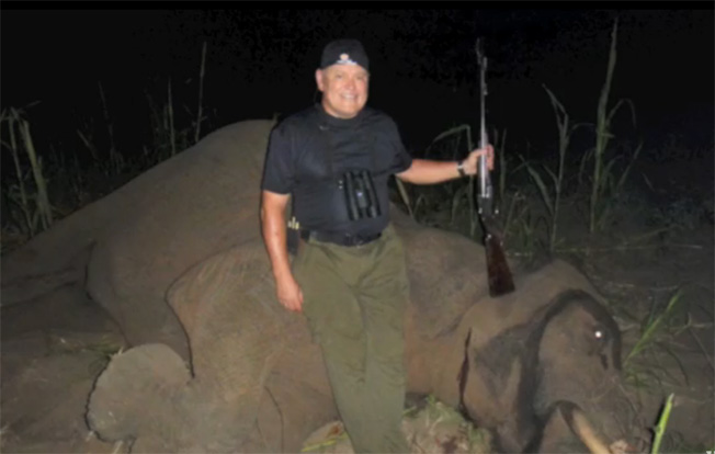 Revolt Over GoDaddy CEO's Elephant Kill Video Makes 20,433 Domains Flee, Rival Claims