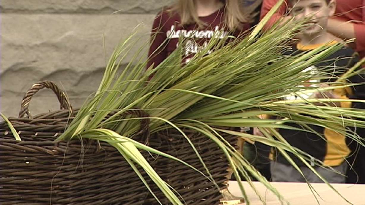 Cathedral of the Madeleine hosts Palm Sunday procession