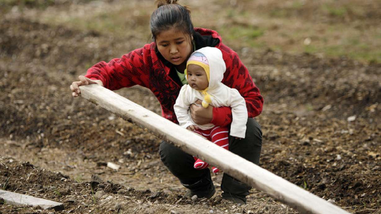New Roots farm to nourish bodies and souls of refugee families