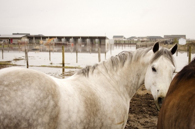 Seven tips to consider during emergency situations in rural areas