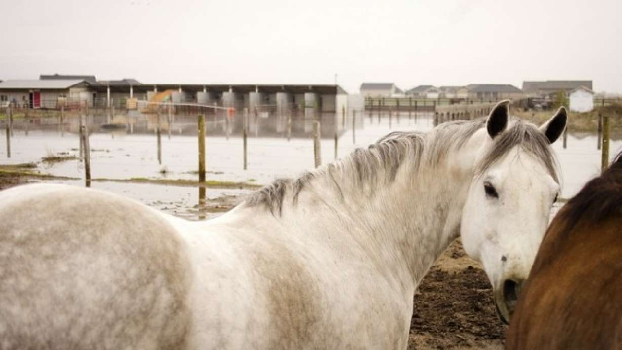 Seven tips to consider during emergency situations in rural areas