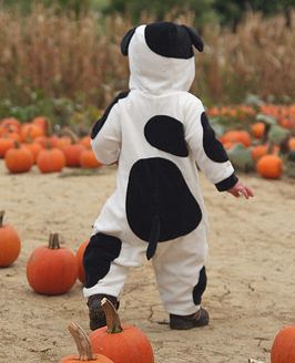 Man In Cow Suit Steals 26 Gallons Of Milk From Walmart