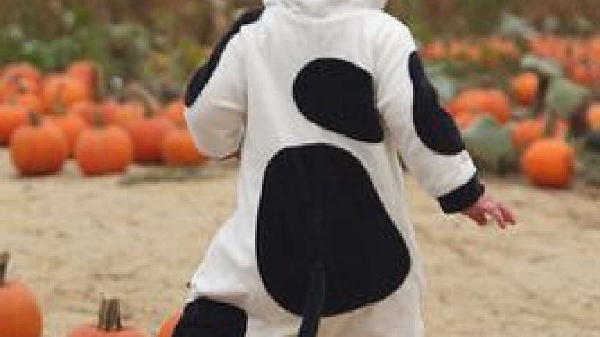 Man In Cow Suit Steals 26 Gallons Of Milk From Walmart