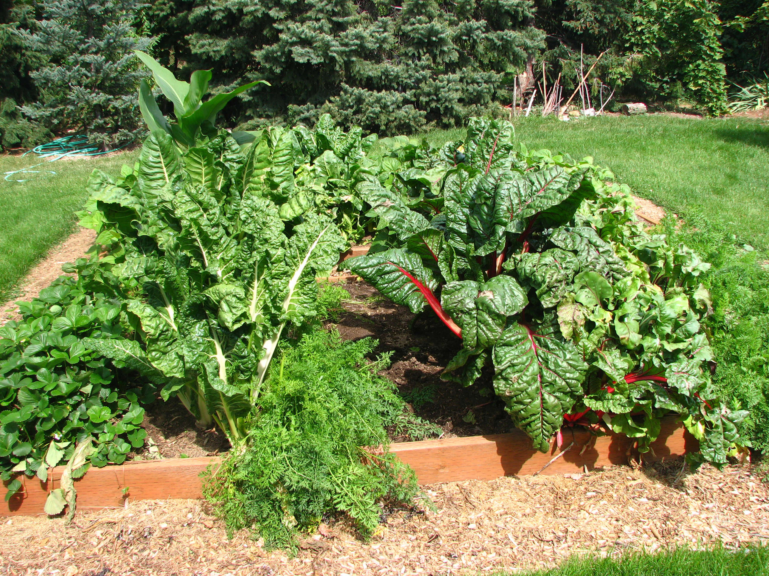 Now is the time for spring planting