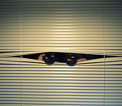 Your Rented Computer Could Be Spying On You