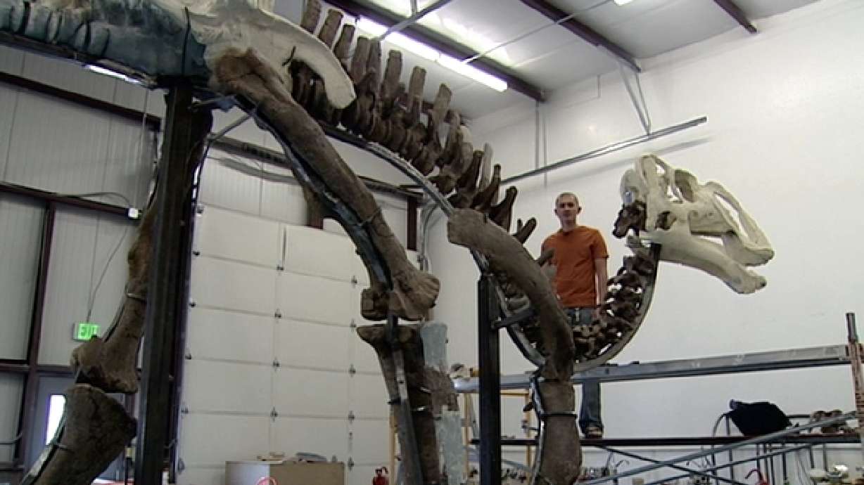 Experts reconstruct duck-billed dinosaur
