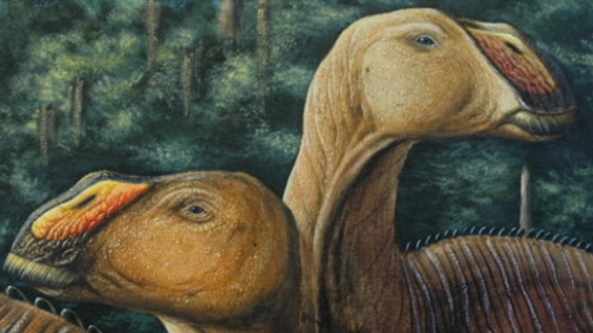 Rendering of the Gryposaurus duck-billed dinosaur