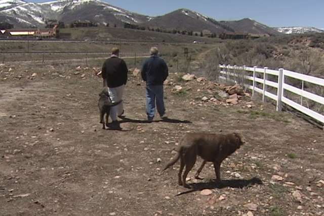 Park City resident Don Armstrong shows KSL's Jed Boal where he and his dogs found the body last week.