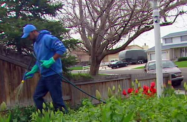 Owner of lawn care company gets a High 5