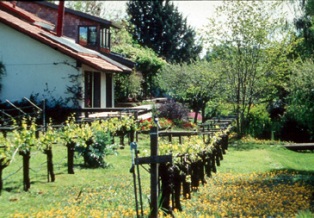 Home Orchard Pest Management Guide