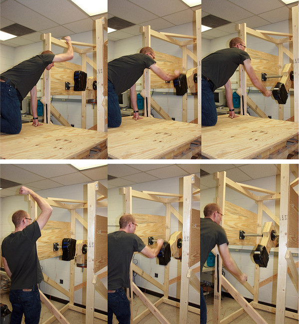 Study: Early man stood on 2 legs to compete for women