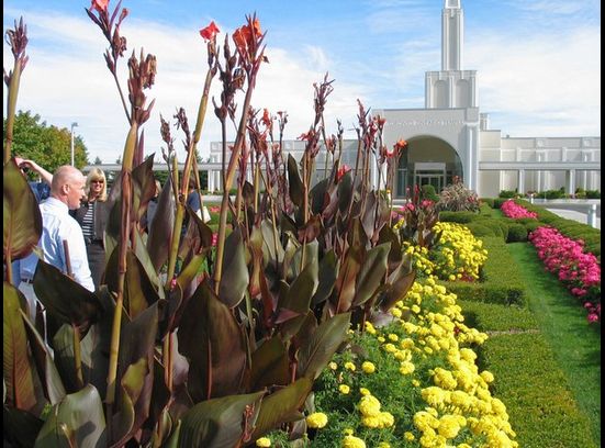 Toronto Ontario Temple gardens popular site for brides, tourists
