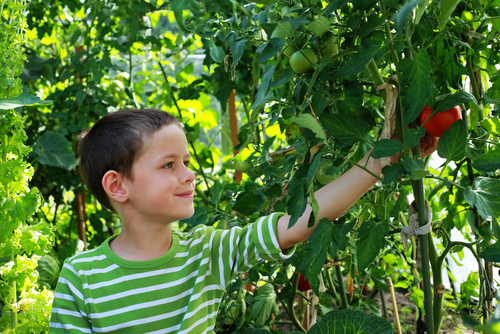 Gardening with kids: an educational family affair